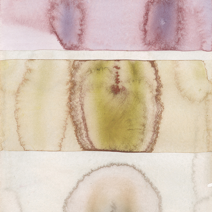 imagen 20. chapman expo